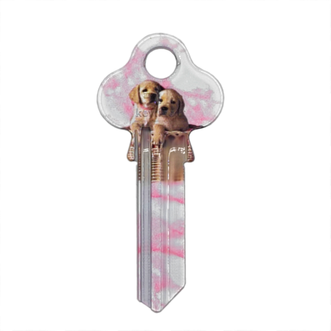 ARTKEY - PUPPY (LW4 / LKW5)