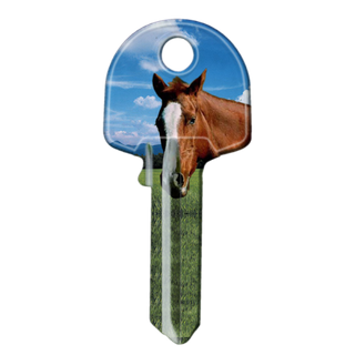 ARTKEY - HORSE (LW4 / LKW5)