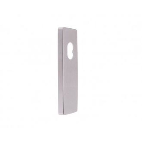 LOCKWOOD EXT PLATE W/CYL HOLE NO LEVER