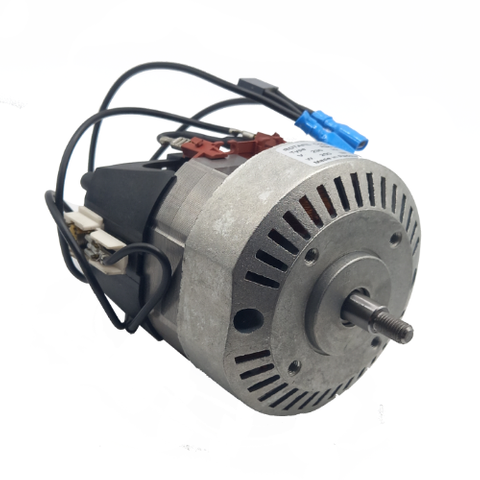 PUNTO MOTOR (RIC01879B)