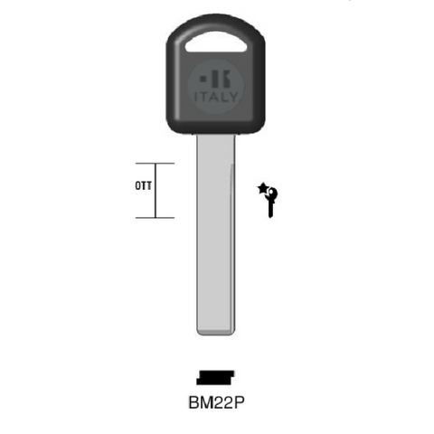 BMW EMERGENCEY KEY