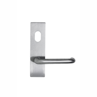 LOCKTON EXT PLATE WITH LEVER / CYL HOLE - WIDE STYLE