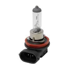 BioLight Bulb H11 12V 55W PGJ19-2 Long Life