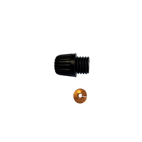 Dist Cap Acorn Nut & Washer