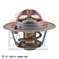 *T/Stat GM 82d