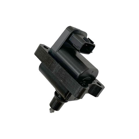 Swan Ignition Coil