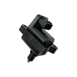 Swan Ignition Coil