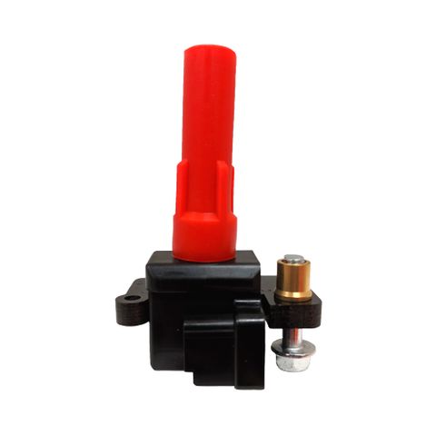 Swan Ignition Coil