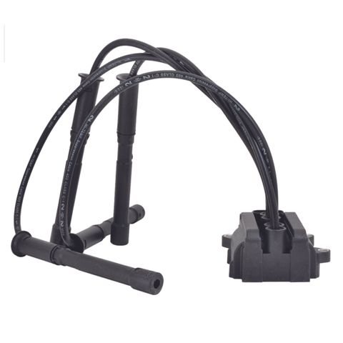 Swan Ignition Coil