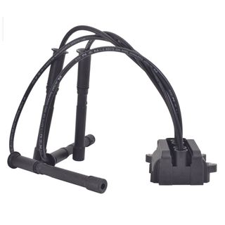 Swan Ignition Coil