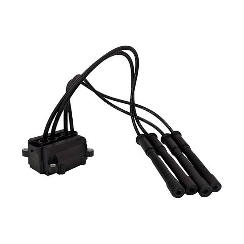 Swan Ignition Coil