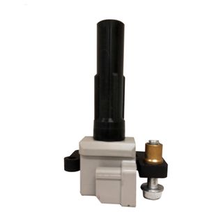 Swan Ignition Coil
