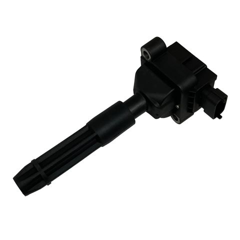 Swan Ignition Coil