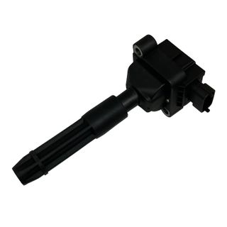 Swan Ignition Coil