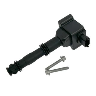 Swan Ignition Coil