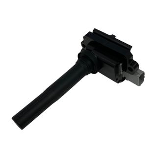 Swan Ignition Coil