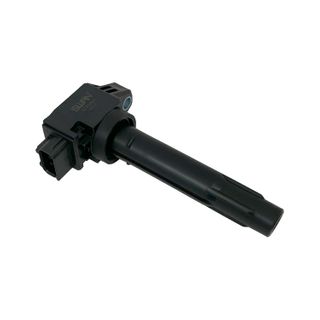 Swan Ignition Coil