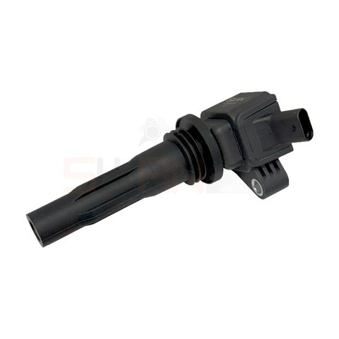 Swan Ignition Coil