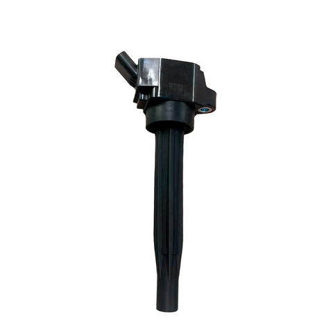 Swan Ignition Coil