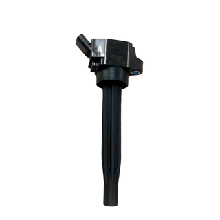 Swan Ignition Coil