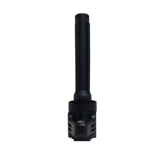 Swan Ignition Coil