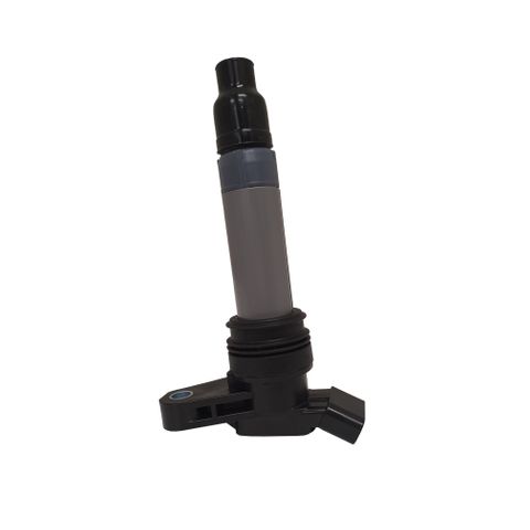 Swan Ignition Coil