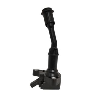 Swan Ignition Coil