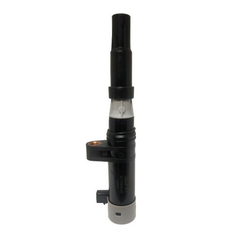 Swan Ignition Coil