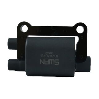 Swan Ignition Coil