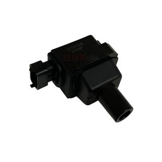 Swan Ignition Coil