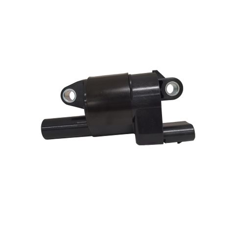 Swan Ignition Coil
