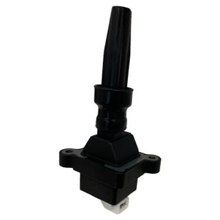 Swan Ignition Coil