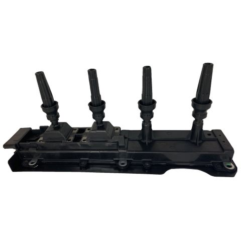 Swan Ignition Coil