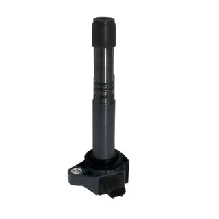 Swan Ignition Coil