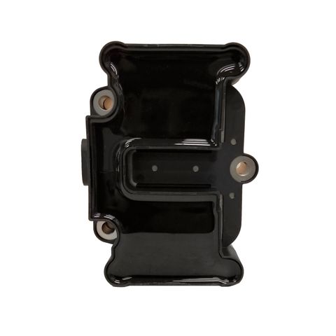 Swan Ignition Coil
