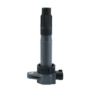 Swan Ignition Coil