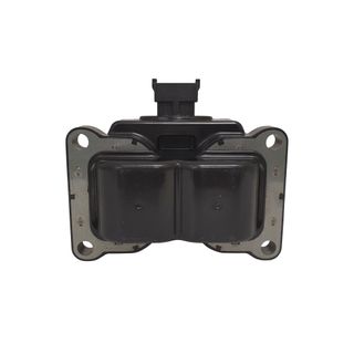 Swan Ignition Coil