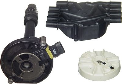 Distributor