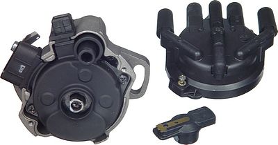 Distributor