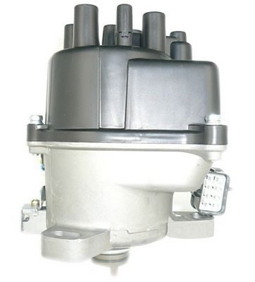 New Distributor