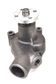 NEW Water Pump