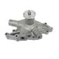 NEW Water Pump