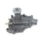NEW Water Pump