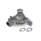 NEW Water Pump