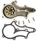 NEW Water Pump