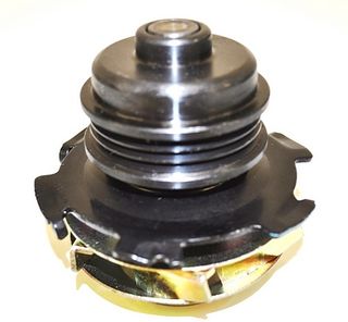 NEW Water Pump