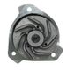 NEW Water Pump