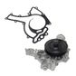NEW Water Pump