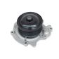 NEW Water Pump