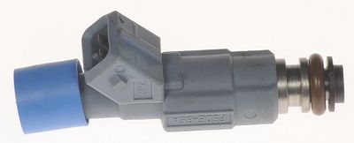 Multi-Port Fuel Injector